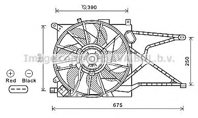 AVA QUALITY COOLING ol7596 -  Вентилятор, охлаждение двигателя